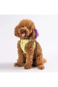 Pawstar Avocado Air-mesh Göğüs Tasması Kedi Köpek Göğüs Tasması - 2