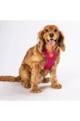 Pawstar Air-mesh Fucshia Kedi Köpek Göğüs Tasması - 3