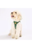 Pawstar Çam Yeşili Air-mesh Göğüs Tasması Kedi Köpek Göğüs Tasması - 3