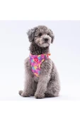 Pawstar Rosea Camouflage Air-mesh Kedi Köpek Göğüs Tasması - 3