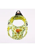 Pawstar Avocado Air-mesh Göğüs Tasması Kedi Köpek Göğüs Tasması - 3