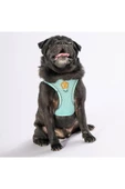 Pawstar Mint Air-mesh Göğüs Tasması Kedi Köpek Göğüs Tasması - 3