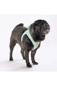 Pawstar Mint Air-mesh Göğüs Tasması Kedi Köpek Göğüs Tasması - 4