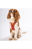 Pawstar Terracotta Air-mesh Göğüs Tasması Kedi Köpek Göğüs Tasması - 3