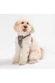 Pawstar Dino Air-mesh Göğüs Tasması Kedi Köpek Göğüs Tasması - 3