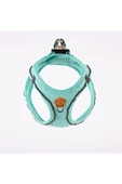 Pawstar Mint Air-mesh Göğüs Tasması Kedi Köpek Göğüs Tasması - 2