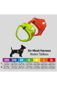Pawstar Dino Air-mesh Göğüs Tasması Kedi Köpek Göğüs Tasması - 5