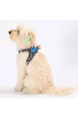 Pawstar Dino Air-mesh Göğüs Tasması Kedi Köpek Göğüs Tasması - 4
