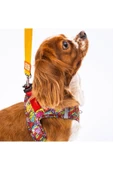 Pawstar Air-mesh Wow Kedi Köpek Göğüs Tasması - 7