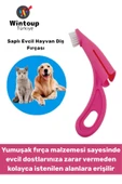 Ergonomik Kolay Tutuş Zararsız Yumuşak Fırça Yavru Kedi Köpek Evcil Hayvan Diş Fırçası - 1