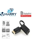 harry Dısplayport Erkek To Hdmı Dişi 4k*2k Çevirici-dp T0 Hdmi thumbnail 1