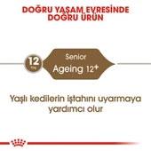 Ageing +12 Yaşlı Kedi Maması 2 Kg - 2