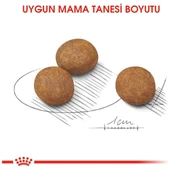 Maxi Puppy Büyük Irk Yavru Köpek Maması 15 kg thumbnail 3