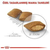 Ccn Mini Exigent Yetişkin Köpek Maması 3 kg thumbnail 5