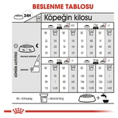 Ccn Mini Exigent Yetişkin Köpek Maması 3 kg thumbnail 4