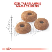 Fit 32 Yetişkin Kedi Maması 15 kg - 4