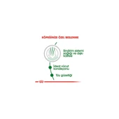 Mini Indoor Adult Yetişkin Köpek Maması 1,5 kg thumbnail 2