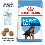 Maxi Puppy Büyük Irk Yavru Köpek Maması 15 kg thumbnail 2