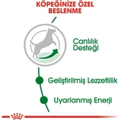 Mini Adult +8 Yaşlı Köpek Maması - 2 kg thumbnail 3