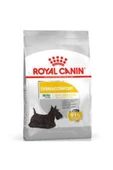 Royal Canin Mini Dermacomfort Yetişkin Köpek Maması 3 Kg thumbnail 2