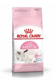 Royal Canin Mother Babycat Yavru Kuru Kedi Maması 4 kg thumbnail 2