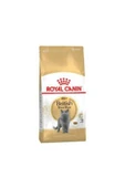 Royal Canin British Shorthair Yetişkin Kedi Maması 10 kg - 1