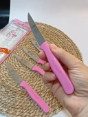 Sürdövbisa 61010 6'lı Meyve Seti (Sivri Uç ) Pembe - 6