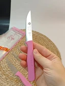 Sürdövbisa 61010 6'lı Meyve Seti (Sivri Uç ) Pembe - 3