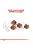 Royal Canın Mother And Babycat Yavru Kedi Maması 2 Kg thumbnail 3