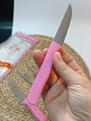 Sürdövbisa 61010 6'lı Meyve Seti (Sivri Uç ) Pembe - 5