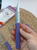 Sürdövbisa 61010 6'lı Meyve Seti (Sivri Uç ) Mor - 2