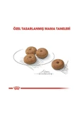 Royal Canin Mini Sterilised Küçük Irk Kısırlaştırılmış Köpek Maması 3 kg thumbnail 4