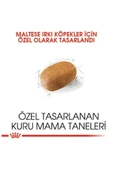 Royal Canin Maltese Bichon Maltais Yetişkin Köpek Maması 1,5 kg thumbnail 1