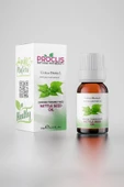 PROCLIS Soğuk Sıkım Isırgan Tohumu Yağ, %100 Doğal Bitkisel Sabit Yağ, Nettle Seed Oil 10 ml - 2