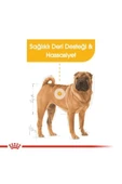 Royal Canin Medium Dermacomfort Yetişkin Köpek Maması 12 Kg thumbnail 4