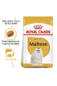 Royal Canin Maltese Bichon Maltais Yetişkin Köpek Maması 1,5 kg thumbnail 3