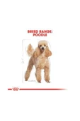 Royal Canin Poodle Adult Yetişkin Köpek Maması 3 kg thumbnail 1