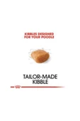 Royal Canin Poodle Adult Yetişkin Köpek Maması 3 kg thumbnail 3