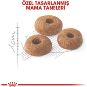 Fit 32 Kedi Maması - 15 kg - 3