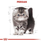 Persian Kitten Kedi Maması - 2 kg thumbnail 3