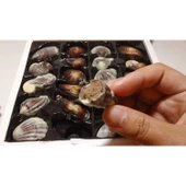 Silikon Kalıp Dolgulu Pasta Kek & Çikolata, Sabun Kalıbı 16 Lı - 4