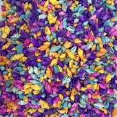 Nassa Shell-Karışık Renkli Kiloluk Deniz Kabuğu 250 Gr - 1