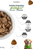 Anatolian premium Lamb Kuzulu Medium Maxi Yetişkin Köpek Maması 18 kg thumbnail 3