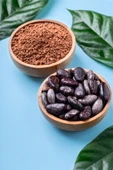 TİJDA Organik Ham Kakao Tozu Glutensiz,vegan 100 Gr. - 2