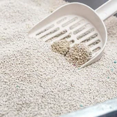 Proline Bentonit Lavanta Kokulu İnce Taneli Topaklanan Kedi Kumu 10 Lt - 3