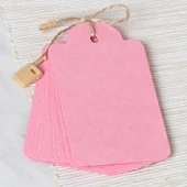 Loren 10'lu Pembe Etiket ve Klipsli Etiket İpi thumbnail 2