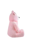 Yavrulu Ayı 95 Cm Pembe Kalpli Pelüş Ayı Sevgiliye Hediye thumbnail 2