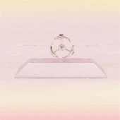 Dekoratif Masa Üstü Obje Manyetik Kinetik Orbital Dönen Yunuslar thumbnail 1