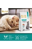 Nutri Feline Urinary Böbrek Sağlığı Destekleyici Somonlu Düşük Tahıllı Yetişkin Kedi Maması 2 Kg - 4