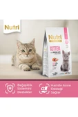 Nutri Feline Yavru Kedi Maması Kitten Taze Somonlu Glutensiz 2 Kg - 3